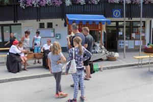 Predice so krtačile in predle volno